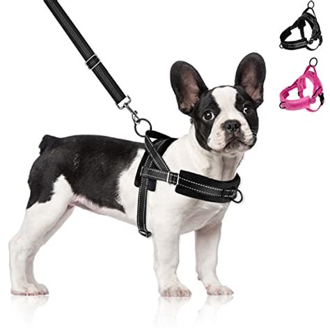 prada hundegeschirr|farfetch prada dog.